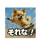 ちわぽめ×スケボー（個別スタンプ：3）
