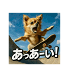 ちわぽめ×スケボー（個別スタンプ：5）
