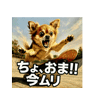 ちわぽめ×スケボー（個別スタンプ：21）