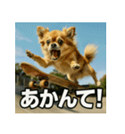 ちわぽめ×スケボー（個別スタンプ：34）