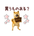 柴犬★家族連絡に使えるスタンプ・友人恋人（個別スタンプ：4）