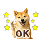 柴犬★即返信に使える便利なスタンプ（個別スタンプ：6）