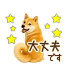 柴犬★即返信に使える便利なスタンプ（個別スタンプ：9）