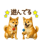 柴犬★即返信に使える便利なスタンプ（個別スタンプ：24）