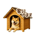 柴犬★即返信に使える便利なスタンプ（個別スタンプ：27）