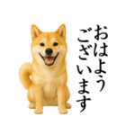 柴犬★毎日使う★大人の敬語スタンプ（個別スタンプ：1）