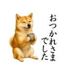 柴犬★毎日使う★大人の敬語スタンプ（個別スタンプ：5）
