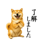 柴犬★毎日使う★大人の敬語スタンプ（個別スタンプ：10）