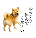 柴犬★毎日使う★大人の敬語スタンプ（個別スタンプ：25）