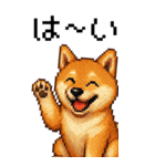 BIG！柴犬のドットスタンプ☆豆柴（個別スタンプ：1）