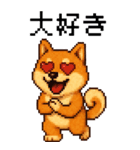 BIG！柴犬のドットスタンプ☆豆柴（個別スタンプ：2）