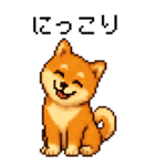 BIG！柴犬のドットスタンプ☆豆柴（個別スタンプ：3）