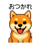 BIG！柴犬のドットスタンプ☆豆柴（個別スタンプ：4）