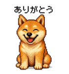 BIG！柴犬のドットスタンプ☆豆柴（個別スタンプ：5）