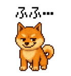 BIG！柴犬のドットスタンプ☆豆柴（個別スタンプ：6）