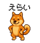 BIG！柴犬のドットスタンプ☆豆柴（個別スタンプ：7）