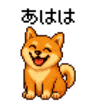 BIG！柴犬のドットスタンプ☆豆柴（個別スタンプ：8）
