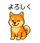 BIG！柴犬のドットスタンプ☆豆柴（個別スタンプ：9）