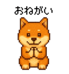 BIG！柴犬のドットスタンプ☆豆柴（個別スタンプ：10）