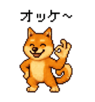 BIG！柴犬のドットスタンプ☆豆柴（個別スタンプ：11）