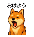 BIG！柴犬のドットスタンプ☆豆柴（個別スタンプ：13）