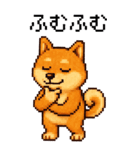 BIG！柴犬のドットスタンプ☆豆柴（個別スタンプ：14）