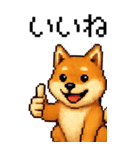 BIG！柴犬のドットスタンプ☆豆柴（個別スタンプ：17）