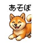 BIG！柴犬のドットスタンプ☆豆柴（個別スタンプ：19）