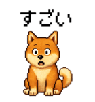 BIG！柴犬のドットスタンプ☆豆柴（個別スタンプ：20）