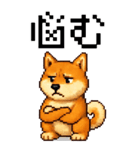 BIG！柴犬のドットスタンプ☆豆柴（個別スタンプ：22）