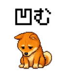 BIG！柴犬のドットスタンプ☆豆柴（個別スタンプ：23）