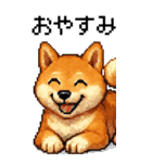 BIG！柴犬のドットスタンプ☆豆柴（個別スタンプ：24）