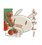 うさぎのばにら8 夏の関西弁ほんわか会話（個別スタンプ：4）