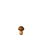 動く野菜君（個別スタンプ：5）