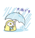 トリさんの使いやすい夏の挨拶、日常会話（個別スタンプ：21）