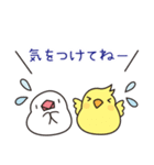 トリさんの使いやすい夏の挨拶、日常会話（個別スタンプ：24）