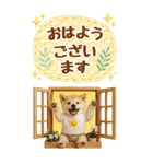 癒ししばいぬの気軽な敬語スタンプ【BIG】（個別スタンプ：5）