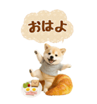 癒ししばいぬの気軽な敬語スタンプ【BIG】（個別スタンプ：6）