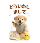 癒ししばいぬの気軽な敬語スタンプ【BIG】（個別スタンプ：12）