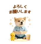癒ししばいぬの気軽な敬語スタンプ【BIG】（個別スタンプ：19）