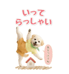 癒ししばいぬの気軽な敬語スタンプ【BIG】（個別スタンプ：22）