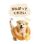 癒ししばいぬの気軽な敬語スタンプ【BIG】（個別スタンプ：23）