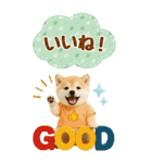 癒ししばいぬの気軽な敬語スタンプ【BIG】（個別スタンプ：29）