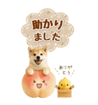 癒ししばいぬの気軽な敬語スタンプ【BIG】（個別スタンプ：32）