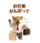 癒ししばいぬの気軽な敬語スタンプ【BIG】（個別スタンプ：37）