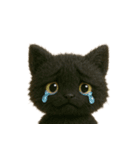 黒猫デイズ、時々ラブ！（個別スタンプ：6）