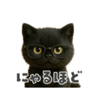黒猫デイズ、時々ラブ！（個別スタンプ：10）