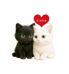 黒猫デイズ、時々ラブ！（個別スタンプ：24）