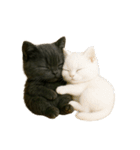 黒猫デイズ、時々ラブ！（個別スタンプ：27）