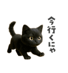 黒猫デイズ、時々ラブ！（個別スタンプ：31）